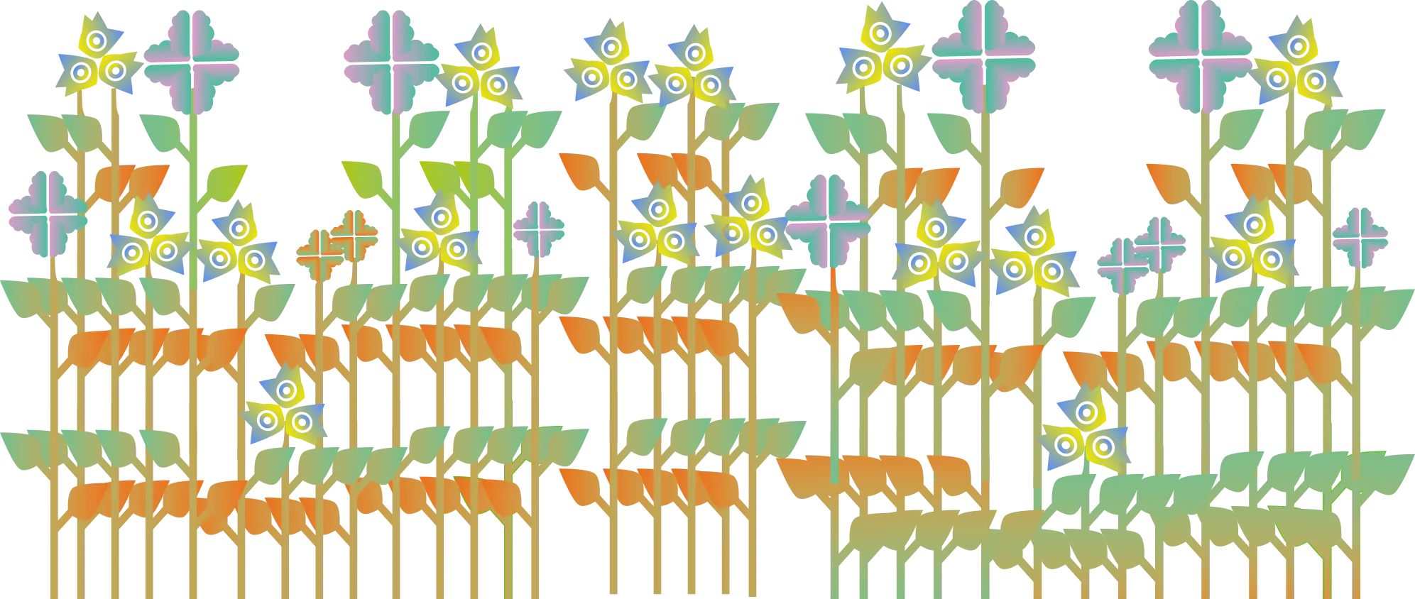 Summer Flowers