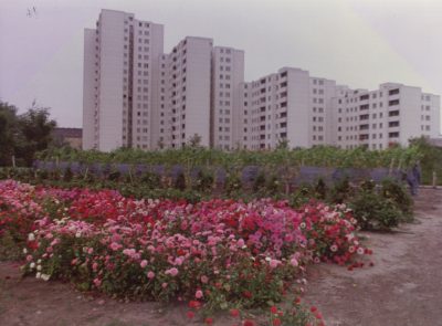 1978