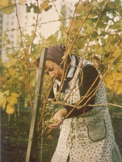 1980