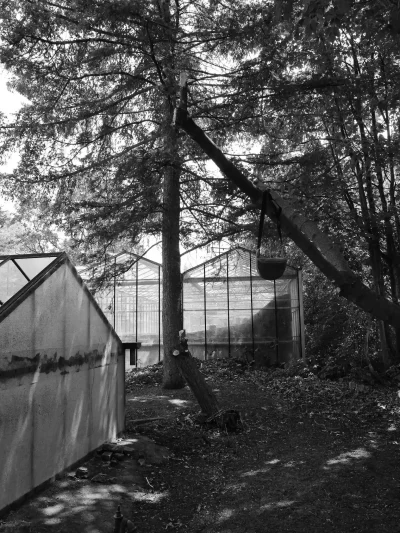 DSC09391
